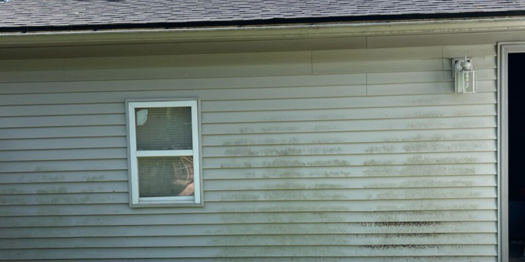 Vinyl siding before power washing